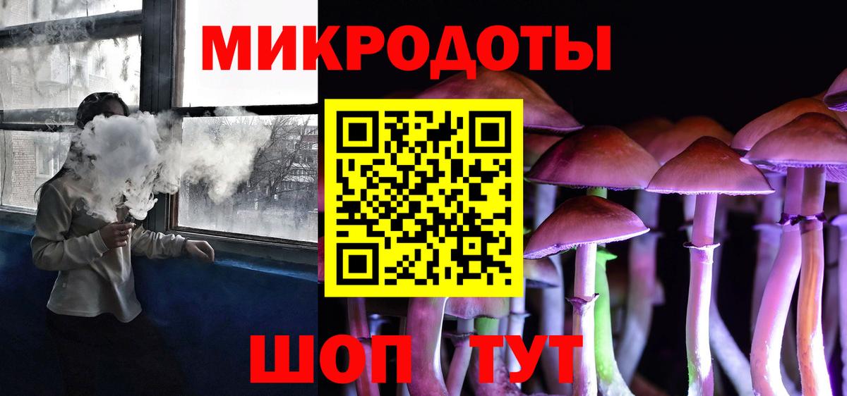Галлюциногенные грибы мухоморы Большой Камень