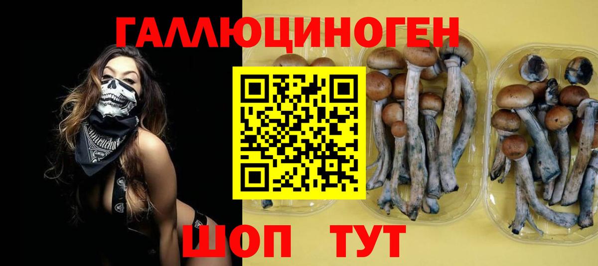 Большой Камень  Галлюциногенные грибы Magic Shrooms  Вход с VPN 